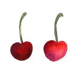cherry food hand drawn watercolor illustration