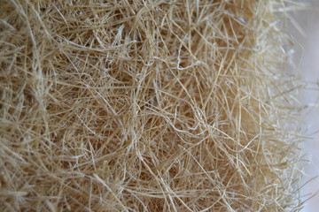 texture