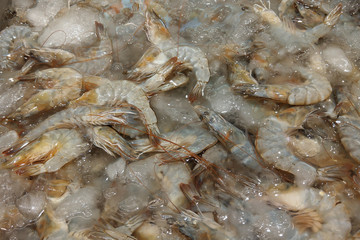 Fresh raw shrimp on ice.Healthy sea food. Seafood background