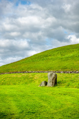 green grass meadow background in Ireland