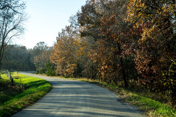 autumn in the country dirt road