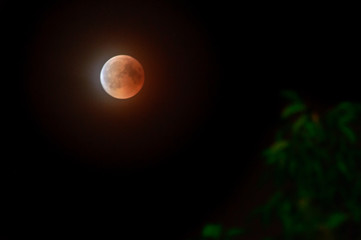 The total eclipse of the moon, the bloody moon at night.