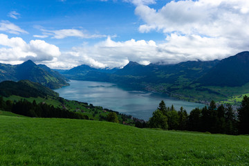 Obraz premium Landscape of Lake Lucerne from Bürgenstock, Switzerland with pine trees and green grass covering the mountain in cloudy blue sky day