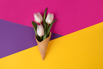 White tulips in waffle cone on multicolored background. Greeting card concept.