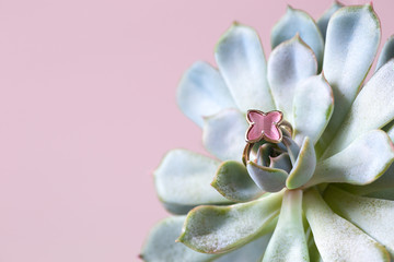 Fototapeta na wymiar Ring with rose stone on rose background and succulent.