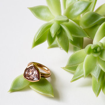 Ring on white textured background and succulent.