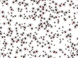 flock of beetles, mite 