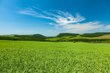 Landscape with hills