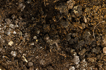 Soil texture, ground