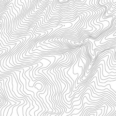 The stylized height of the topographic contour in lines and contours. The concept of a conditional geography scheme and the terrain path. Vector illustration.