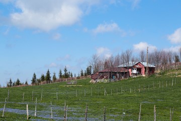 the most beautiful springs of the black sea.trabzon turkey