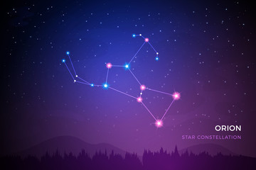 Orion star constellation on the beautiful night sky vector illustration - obrazy, fototapety, plakaty