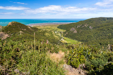 Fototapeta na wymiar Hiking through New Zealand rainforest, Lookout over the Black Sand Beach near KereKere-Piha, New Zealand