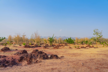 Scenery of Red ground in iron ore in Kanchanaburi Thailand.