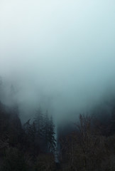 Fototapeta na wymiar Hidden behind the mist