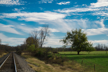 Fototapeta na wymiar landscape with trees and blue sky by railroad tracks