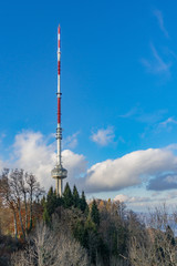 Fototapeta premium Uetliberg im Herbst