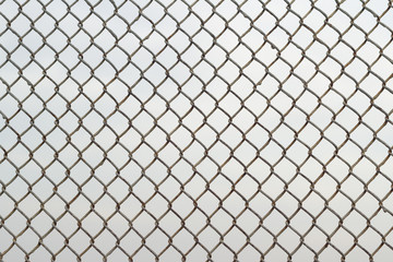 Fototapeta premium Fine grid close up.