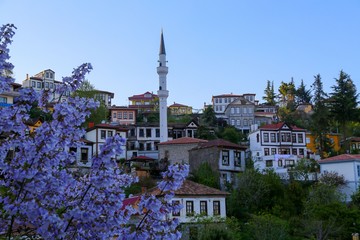 Obraz premium old trabzon houses turkey ( life style) 