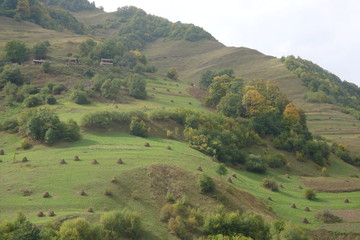 Georgian mountains gudamakari valley - Image       