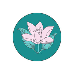 Magnolia Flower Logo Illustration