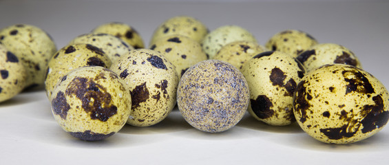 Several quail eggs on a gray gradient background