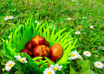 uova di Pasqua tinte rosse sul prato primavera