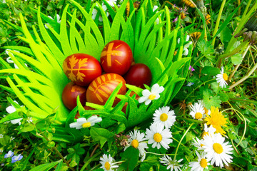 banner uova di Pasqua prato verde fiori