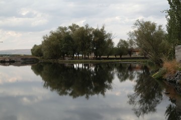Green forest by the lake in reflection in the water beauty in nature