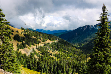 Olympic Mountain range, Olympic National Park, Washington, USA.