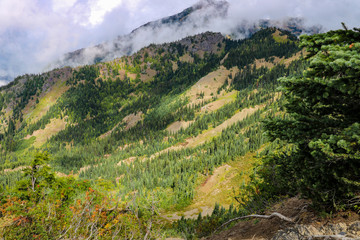 Beautiful view of the Olympic Mountain Range, Olympic National Park, Washington, USA.