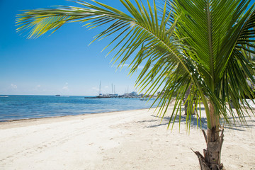 playa de Cancun