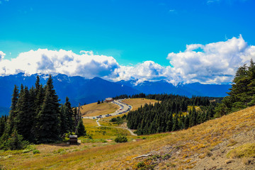Top of hurricane ridge at Olympic National park, Washington, USA.