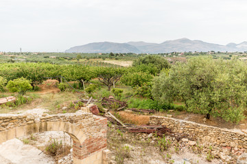 Fototapeta na wymiar Agricultural field in Sicily