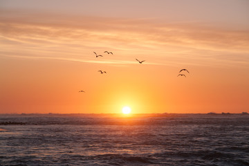 Sea sunset. Birds escort the last rays of the sun disappearing behind the water surface.