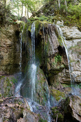 Fototapeta na wymiar natural black forest water fall