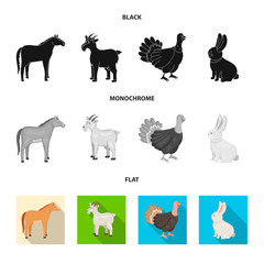 Isolated object of breeding and kitchen  icon. Set of breeding and organic  stock vector illustration.