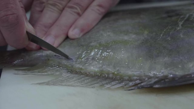 chef che sta sfilettando un pesce per cucinarlo