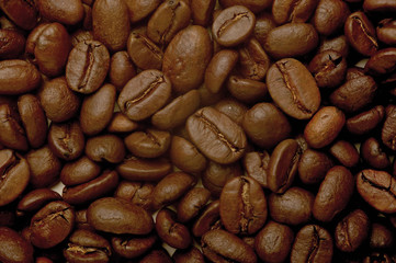 COFFEEBEAN2