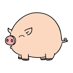 quirky hand drawn cartoon pig
