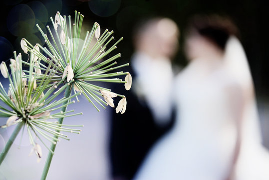 Hochzeit, Eheringe, Gl&uuml;ck, Ehe.