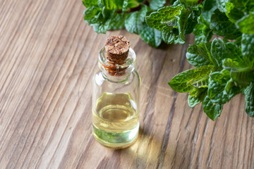 A bottle of peppermint essential oil with fresh peppermint leaves
