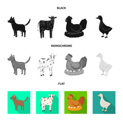 Vector design of breeding and kitchen  sign. Set of breeding and organic  vector icon for stock.