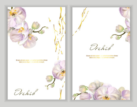 Set of Vector banners with Luxurious orchid flowers on white background. Template for greeting cards, wedding decorations, invitation, sales, packaging. Spring or summer design. Place for text.