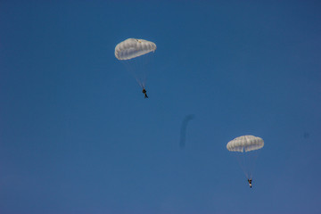 skydiver on blue sky white dome paratrooper