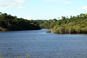 Fototapeta premium Manaus, Amazonas, Brazil. Rio Negro river and its beauties that enchant to all visitors. Amazonia, the living nature.