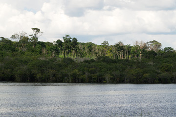 Manaus, Amazonas, Brazil. Rio Negro river and its beauties that enchant to all visitors. Amazonia, the living nature.