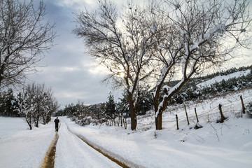 Snow covered natur. Walk on snow-covered road.  