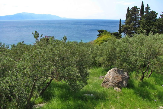 A View of Adriatic Sea in Croatia near Gradac