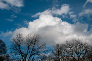 Obraz na płótnie Canvas Clouds and blue sky 1